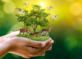 Forestry and Wildlife Entrance Exam